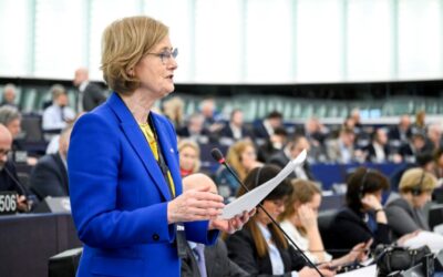 MEP Clune – ‘Europe’s New Customs Rules will save €2 billion a year’